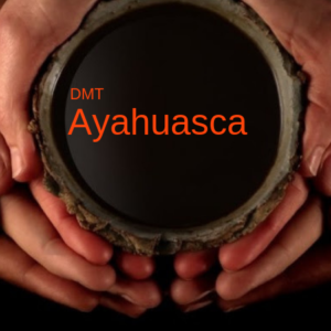 Ayahuasca